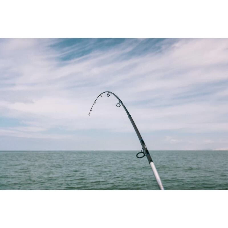 CANNE BATEAU SEABOAT 500 250 POWER TRAVEL PECHE EN MER 10 CANNE BATEAU SEABOAT 500 250 POWER TRAVEL PECHE EN MER – Image 10