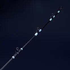 Canne De Pêche à La Traîne Légère GAME 500 180 10/14LBS Pêche En Mer 19 Canne De Pêche à La Traîne Légère GAME 500 180 10/14LBS Pêche En Mer -Pêche Pro Soldes canne de peche a la traine legere game 500 180 1014lbs peche en mer 9