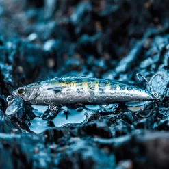 Poisson Nageur SAXTON 75 F BONITO Pêche Au Leurre En Mer 9 Poisson Nageur SAXTON 75 F BONITO Pêche Au Leurre En Mer -Pêche Pro Soldes poisson nageur saxton 75 f bonito peche au leurre en mer 4